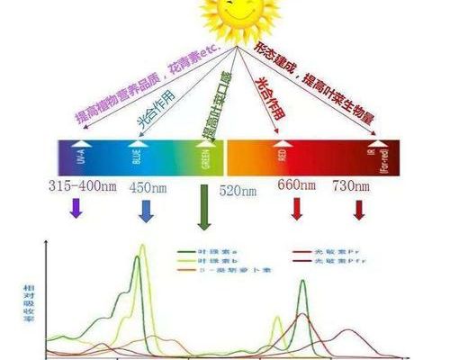 探索新维度：精准导航非线性散射光谱