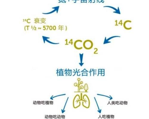 绘制太空源化石燃料排放图