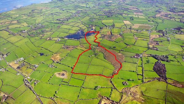 53-acre Limerick land makes 'satisfactory' €7k/acre at auction